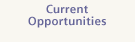 Current Opportunities